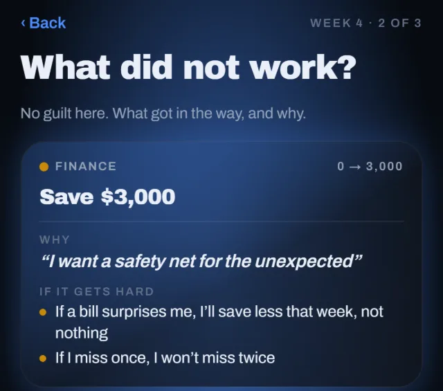 Weekly review, What did not work: the goal Save $3,000 with its why and its plans