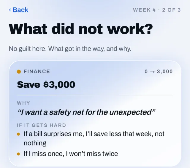 Weekly review, What did not work: the goal Save $3,000 with its why and its plans